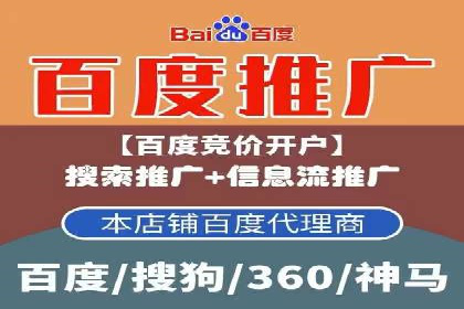 某品牌通过百度广告实现快速增长的案例